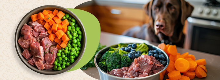 21 Healthy Whole Foods You Can Feed Your Dog
