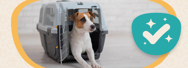 Crate Training Done Right