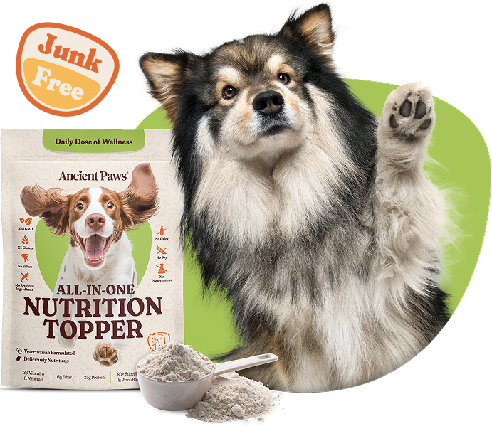 Restore Pet Health Naturally