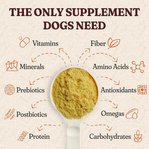 All In One Nutrition Topper
