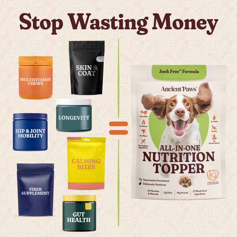 All In One Nutrition Topper