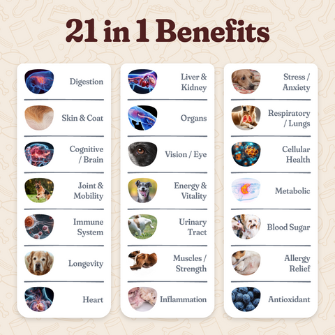 All In One Nutrition Topper