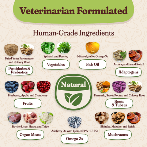 All In One Nutrition Topper