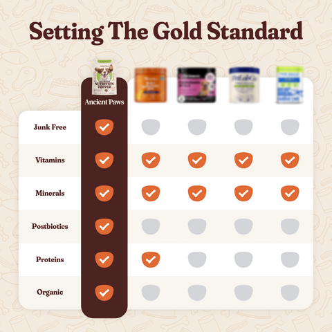 All In One Nutrition Topper